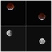 Lunar eclipse April 2015 by kiwinanna