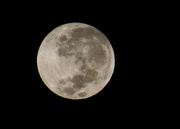4th Apr 2015 - Full Moon