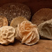 My fossil collection... by snowy