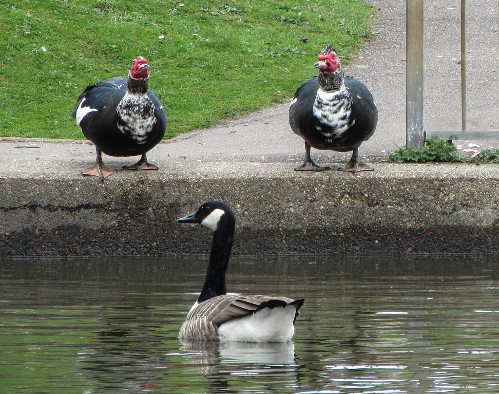 The three of us by gareth