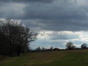 5th Apr 2015 - Another walk on Bircher common  