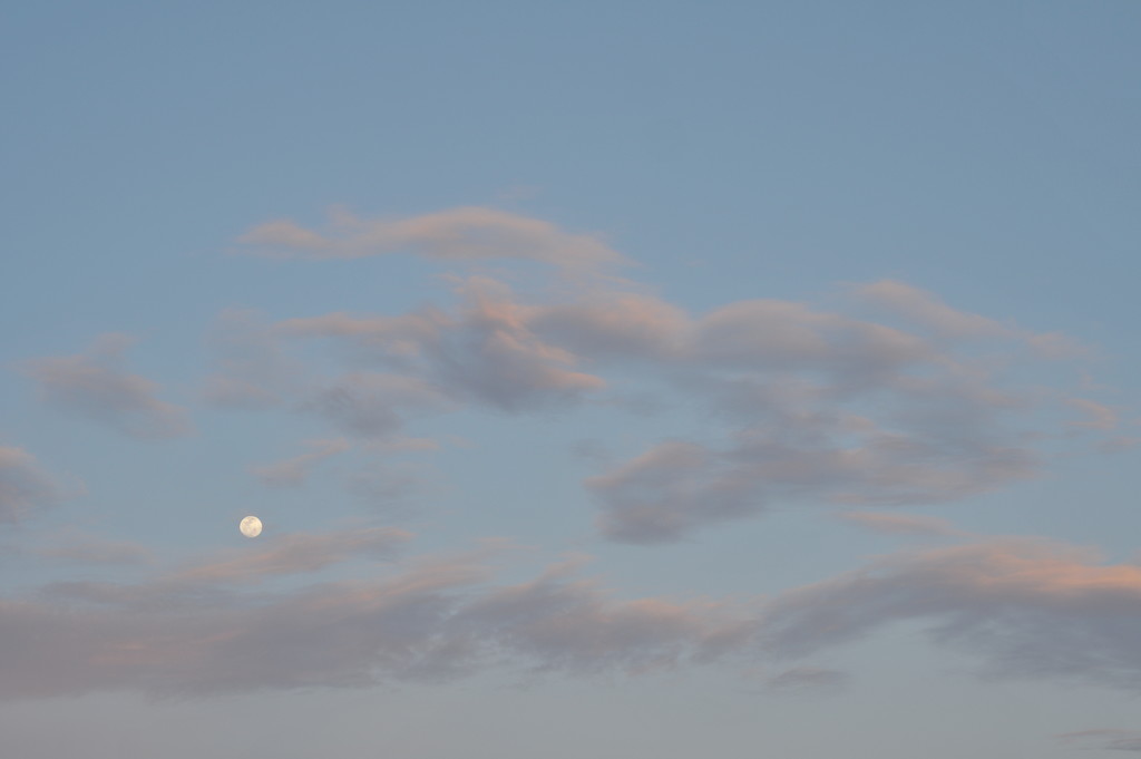 Early evening full moon by kathyrose