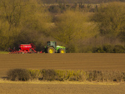 6th Apr 2015 - Spring sowing
