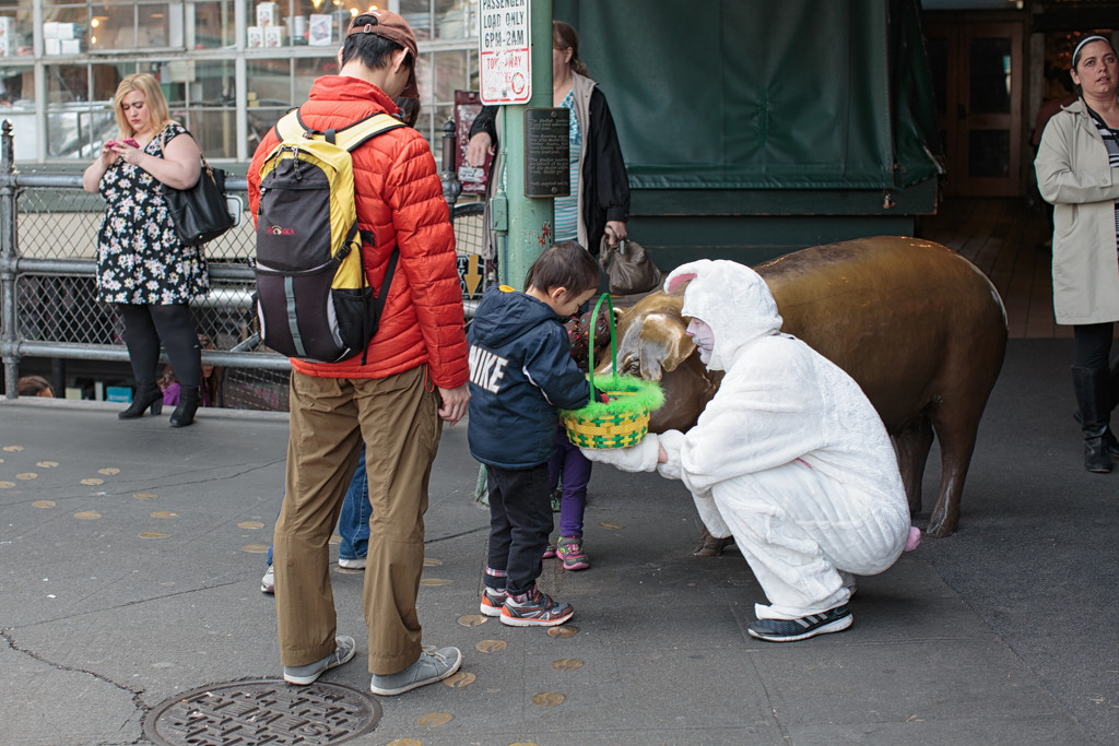Easter Rabbit Makes A Visit To The Market!  by seattle