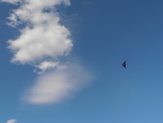 5th Apr 2015 - Flying a Kite