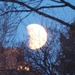 Partial Lunar Eclipse by selkie