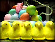 5th Apr 2015 - Peeps and bunnies and eggs!