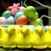 Peeps and bunnies and eggs! by homeschoolmom