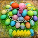 Lots of colored eggs for Easter! by homeschoolmom