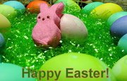 5th Apr 2015 - Happy Easter!