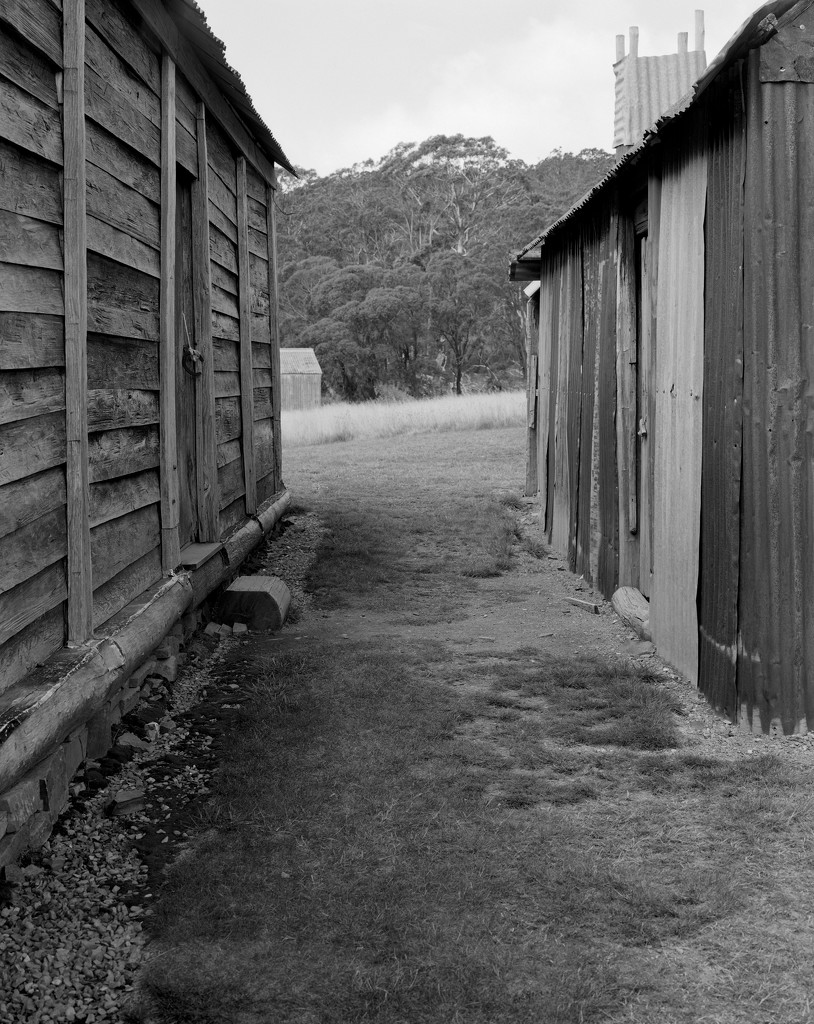 Between house and shed by peterdegraaff