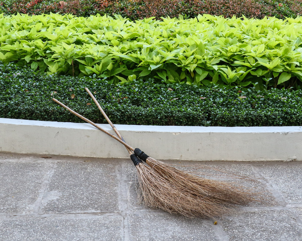 Vietnamese brooms by flyrobin
