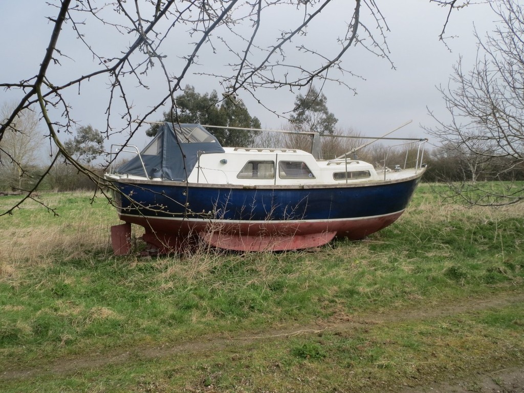 Boat in the Fens by foxes37
