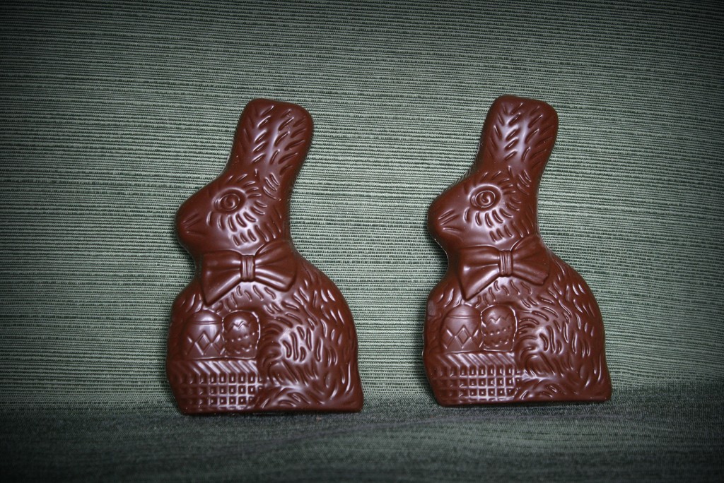 Chocolate bunnies by mittens