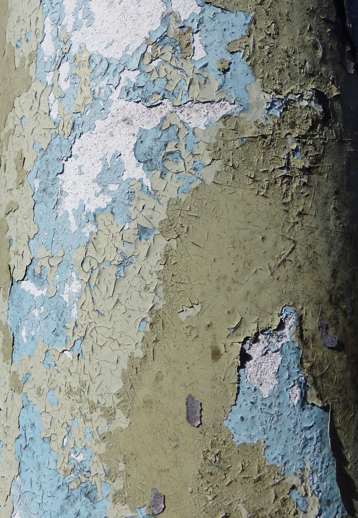 Layers on a lamp post. by jokristina