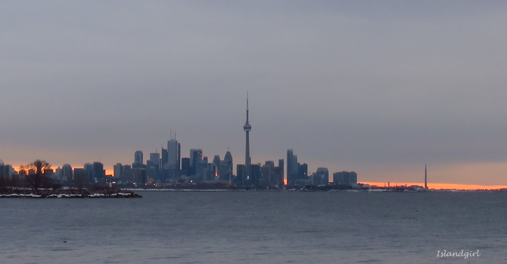 Toronto Skyline  by radiogirl