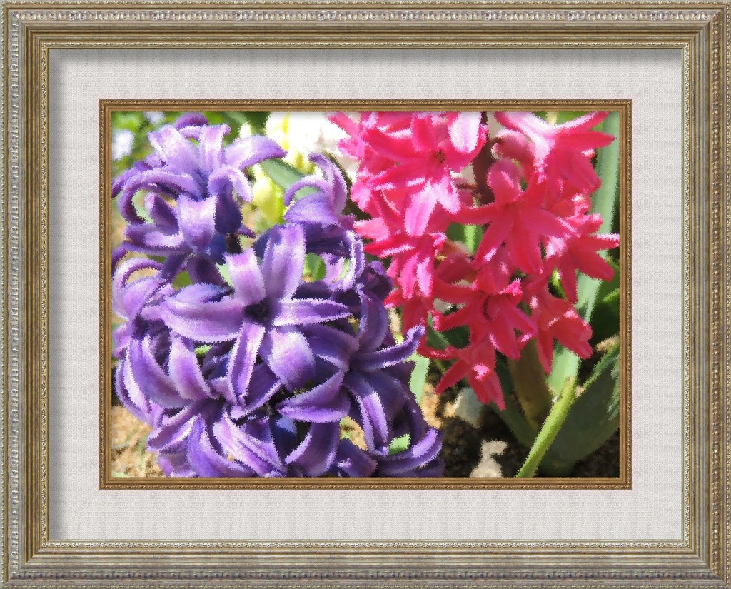 Painted Hyacinths by allie912