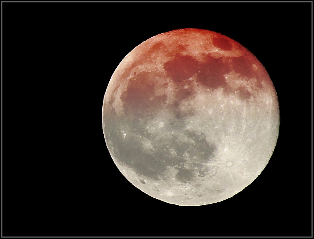 My Version of a Blood Moon by olivetreeann