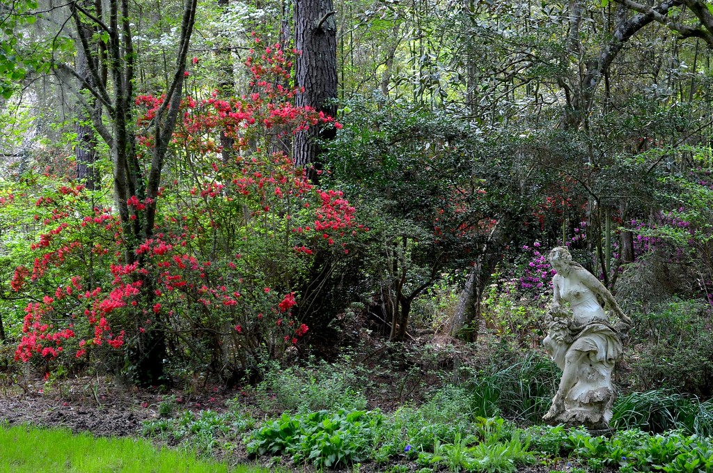 Magnolia Gardens, Spring 2015 by congaree