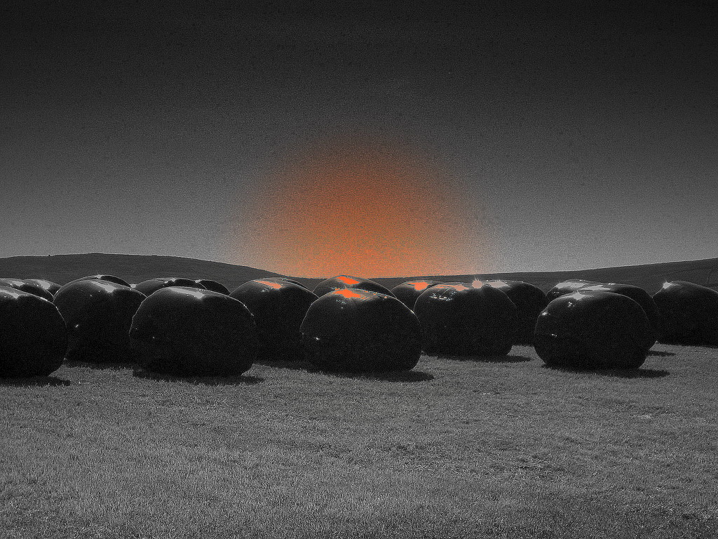 red bales by steveandkerry