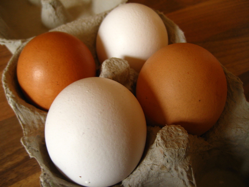 White eggs by steveandkerry