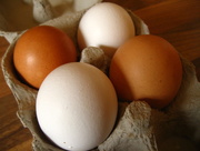 9th Mar 2014 - White eggs