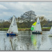 Sailing-1 by pcoulson