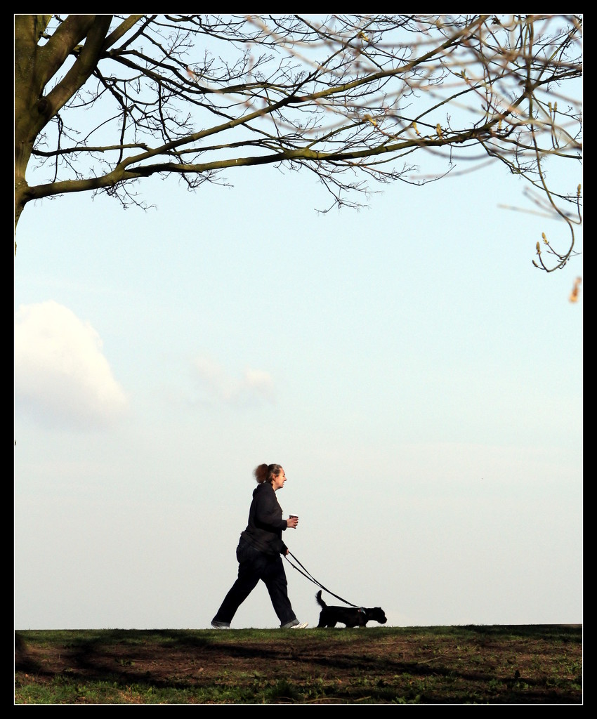 Walking The Dog by phil_howcroft