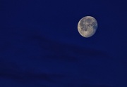 7th Apr 2015 - Obligatory Moon Image
