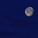 Obligatory Moon Image by sbolden