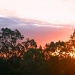 Sunset  by corymbia