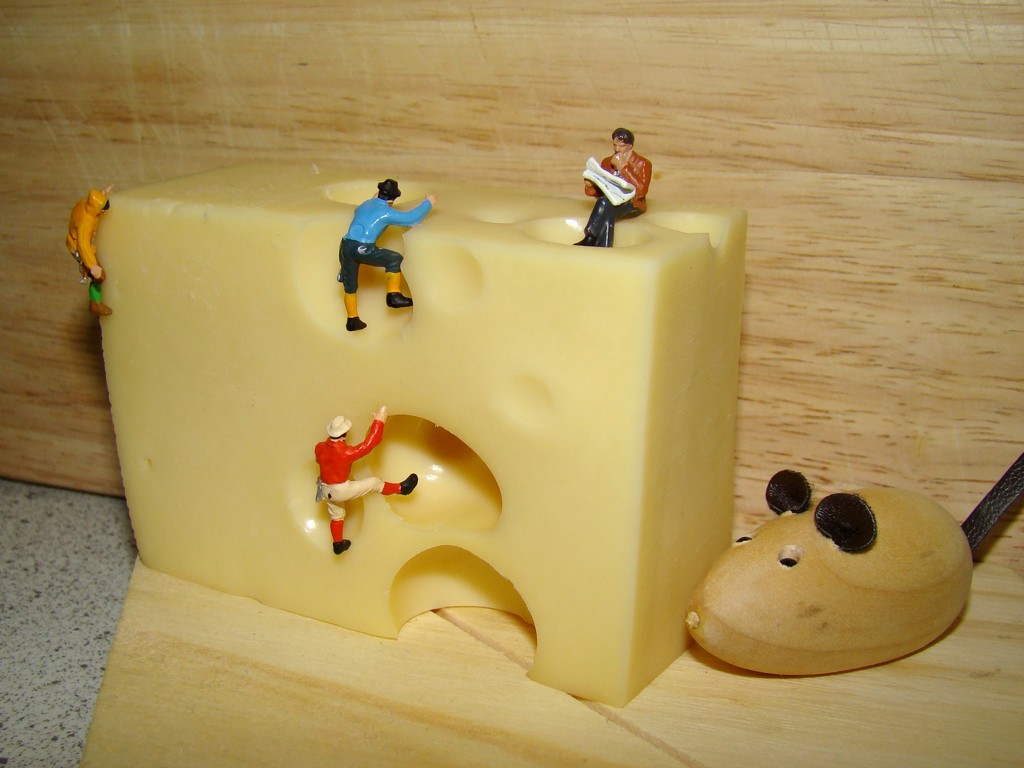 Apr 07: Cheese by bulldog