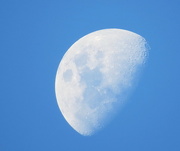 8th Apr 2015 - Blue Moon