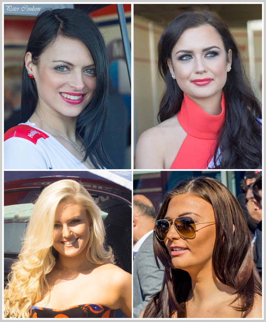 Grid Girls1 by pcoulson