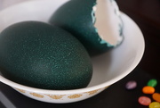 7th Apr 2015 - emu egg1