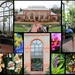 Biltmore Greenhouse Collage by calm