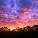 Sunset by corymbia