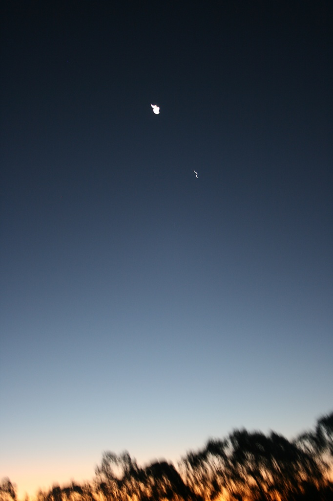 blurry moon by corymbia