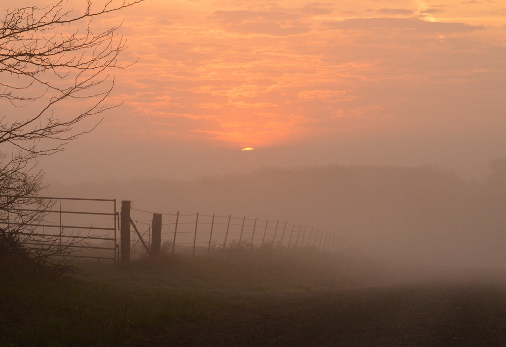 Fog, Fence, Kansas Sunrise by kareenking