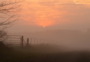 9th Apr 2015 - Fog, Fence, Kansas Sunrise