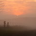 Fog, Fence, Kansas Sunrise by kareenking
