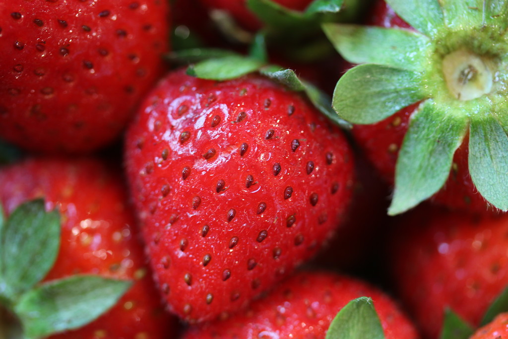 Strawberries! by ingrid01