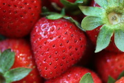 7th Apr 2015 - Strawberries!