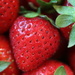 Strawberries! by ingrid01
