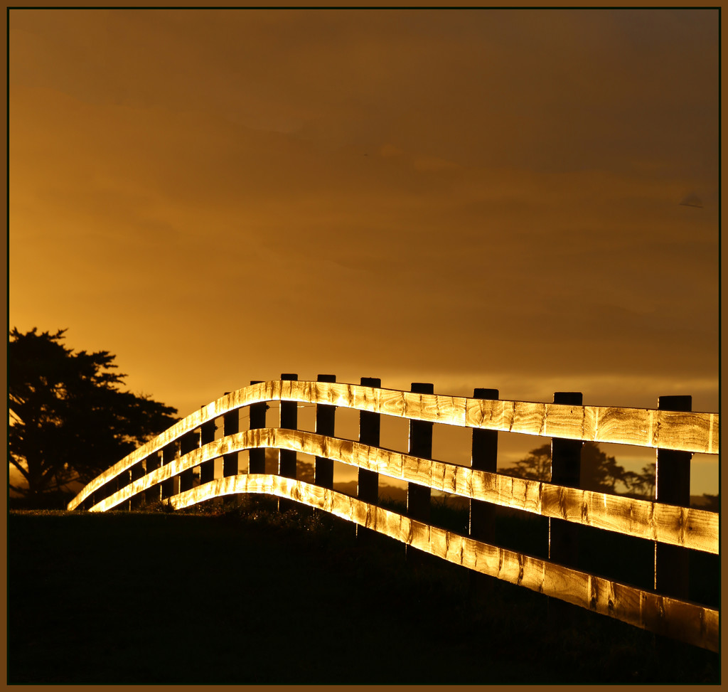 The golden fence by dide