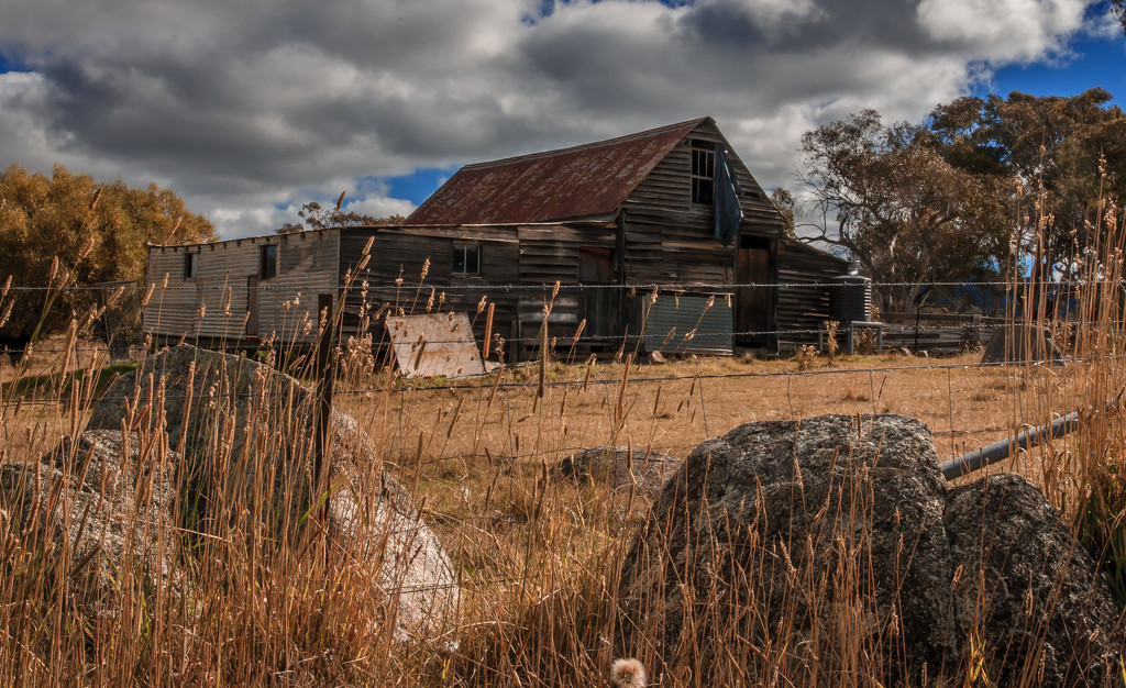 Shed in the high country by pusspup