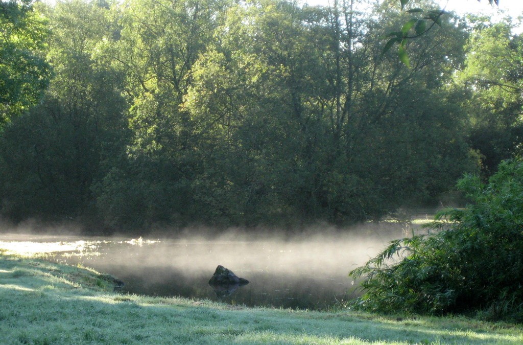 Misty morning by steveandkerry