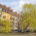 Trees in the city by gosia