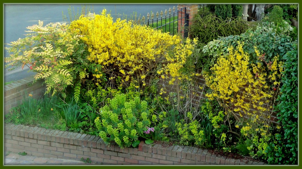 In the garden ! by beryl