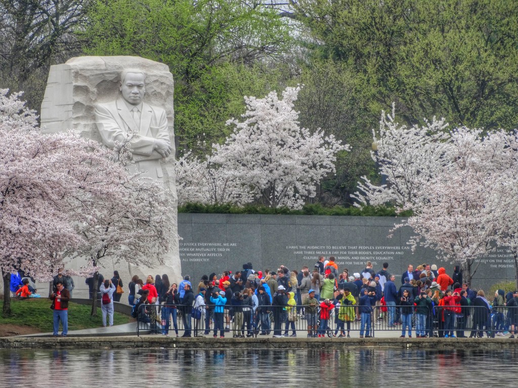 MLK Monument in Bloom by khawbecker